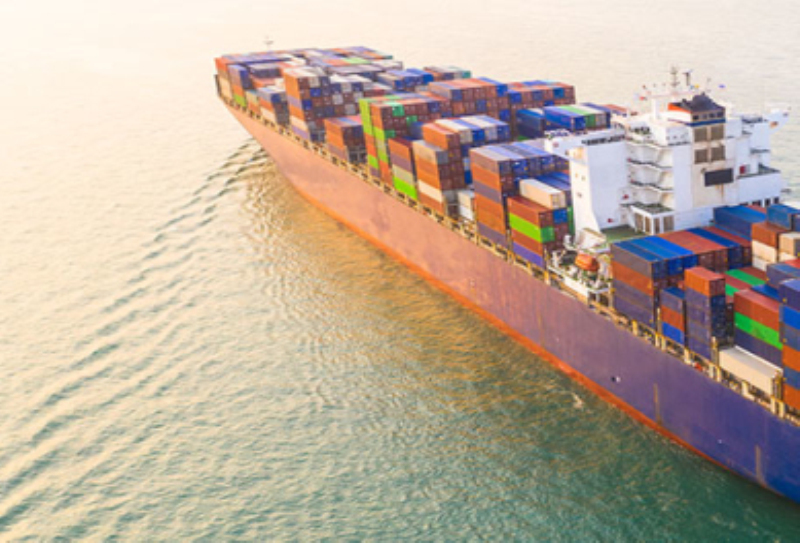 COSCO 泰國線運費解析：如何節省成本?